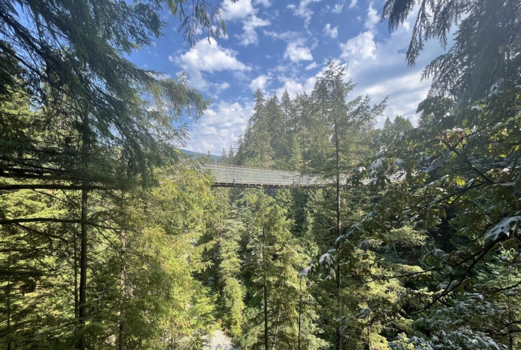 View of Capilano Suspended Bridge