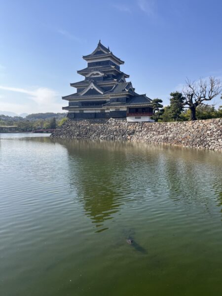 Moat of castle Matsumoto with carp