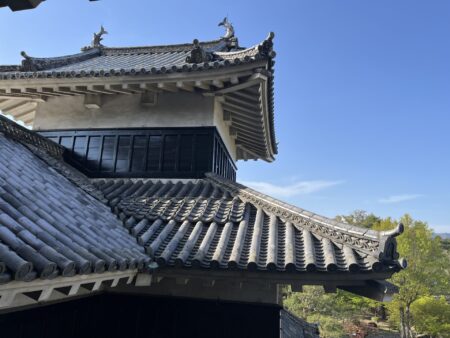 Castle Matusmoto roof details