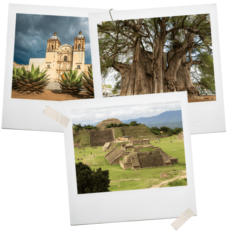 Photo collage of Oaxaca