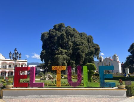 Letters of El Tule in front of tree