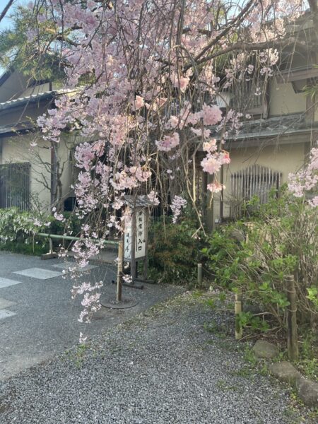 Arashiyama Park, Kyoto