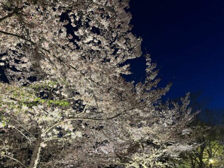 Gion at night, Kyoto